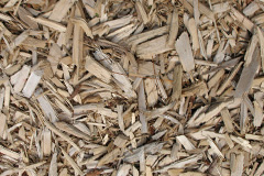 biomass boilers Ludham